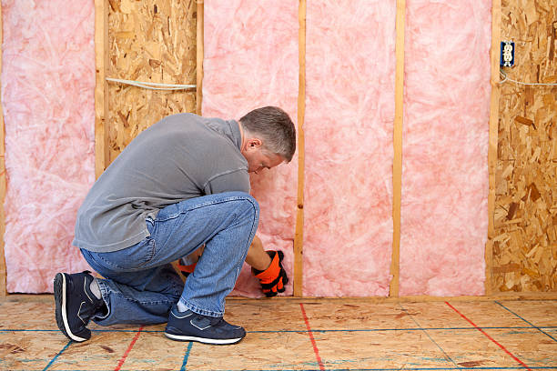 Best DIY Insulation Kits and Guidance in Red Bay, AL